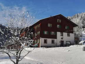 Ferienhaus Drexel, Steeg, Österreich